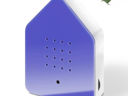 Zwitscherbox Birdsong Motion Sensor - Viola